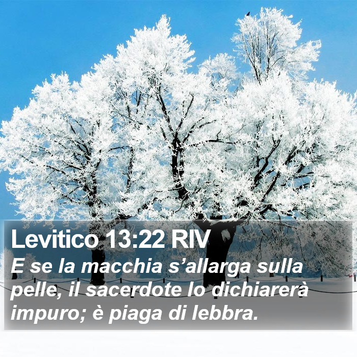 Levitico 13:22 RIV Bible Study