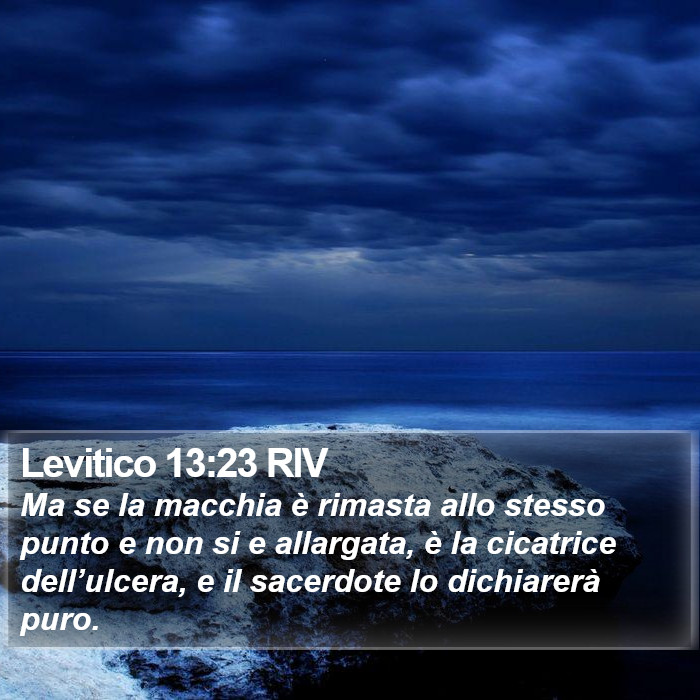 Levitico 13:23 RIV Bible Study