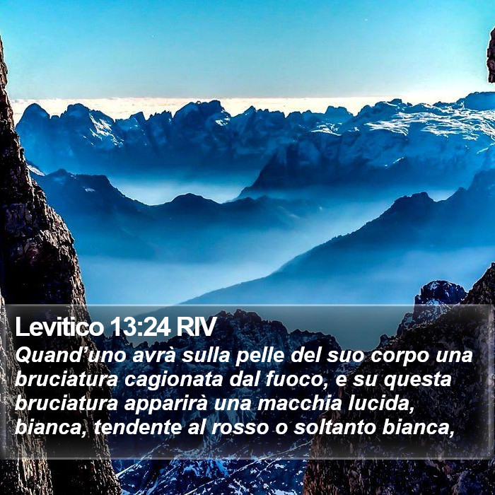 Levitico 13:24 RIV Bible Study