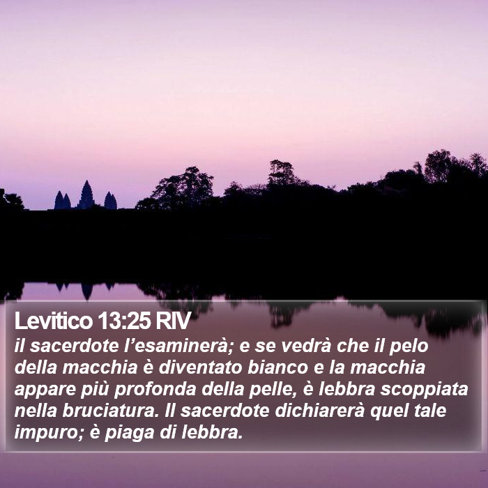 Levitico 13:25 RIV Bible Study