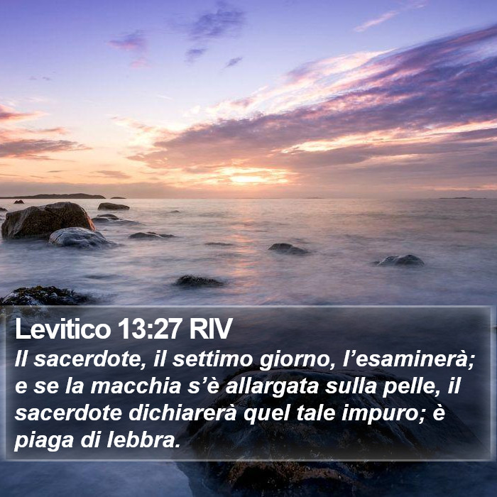 Levitico 13:27 RIV Bible Study