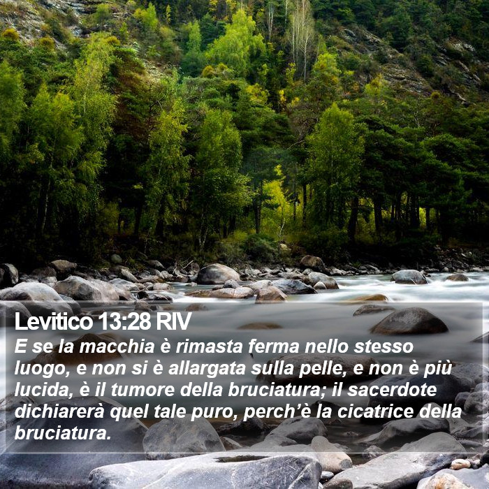 Levitico 13:28 RIV Bible Study