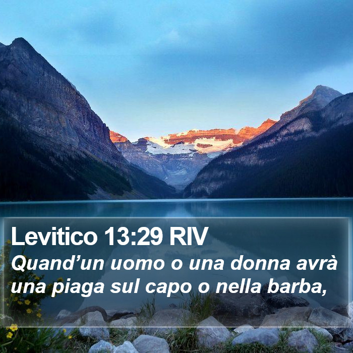 Levitico 13:29 RIV Bible Study