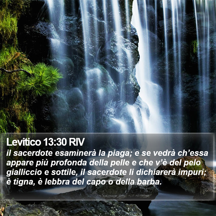 Levitico 13:30 RIV Bible Study