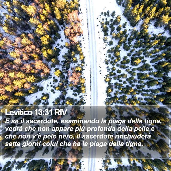 Levitico 13:31 RIV Bible Study