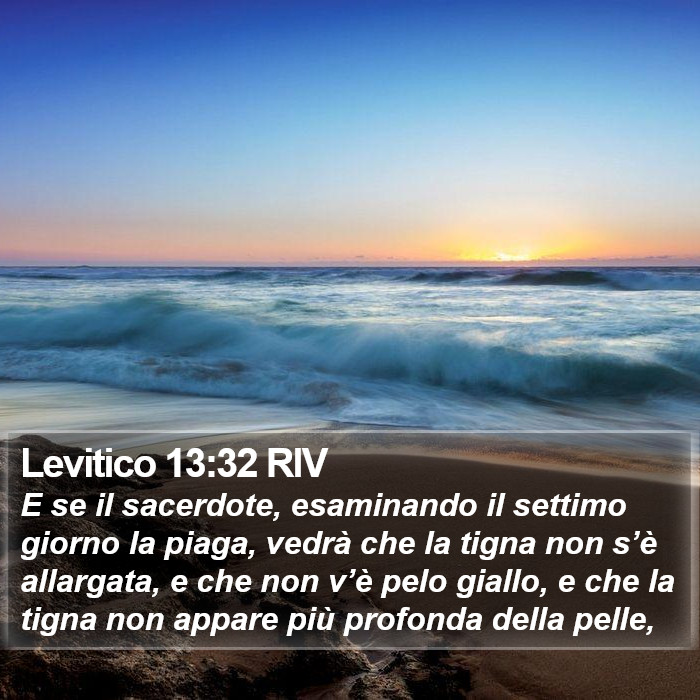 Levitico 13:32 RIV Bible Study