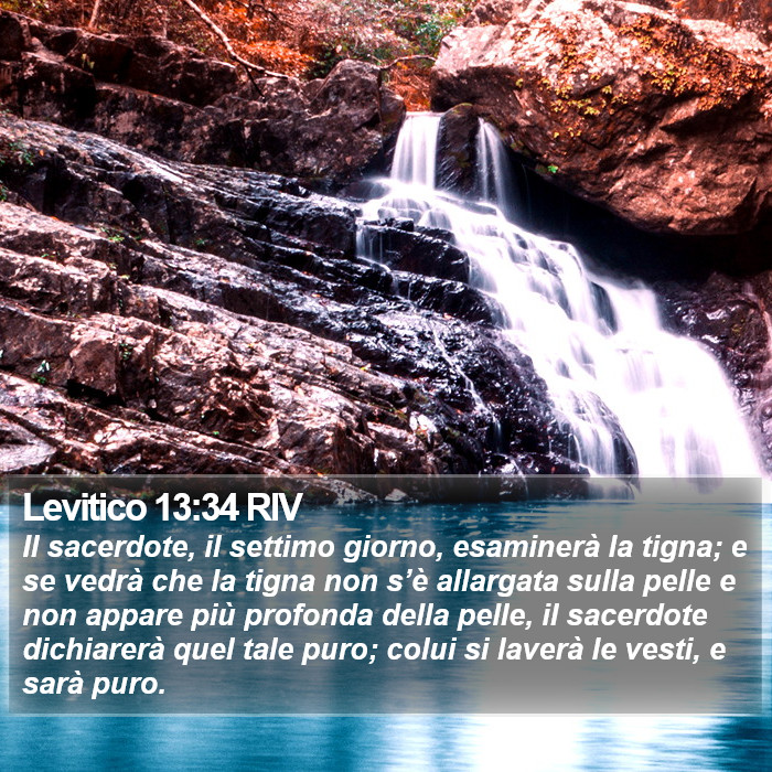 Levitico 13:34 RIV Bible Study