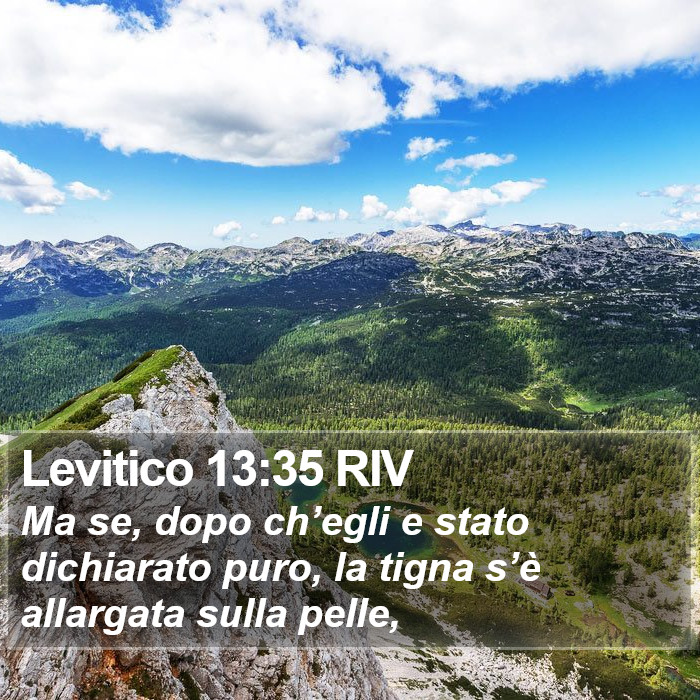 Levitico 13:35 RIV Bible Study