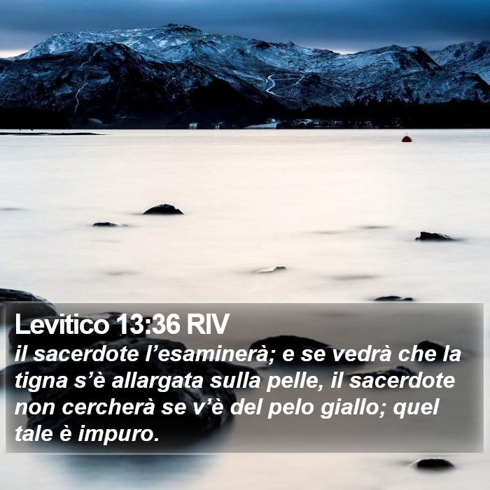 Levitico 13:36 RIV Bible Study