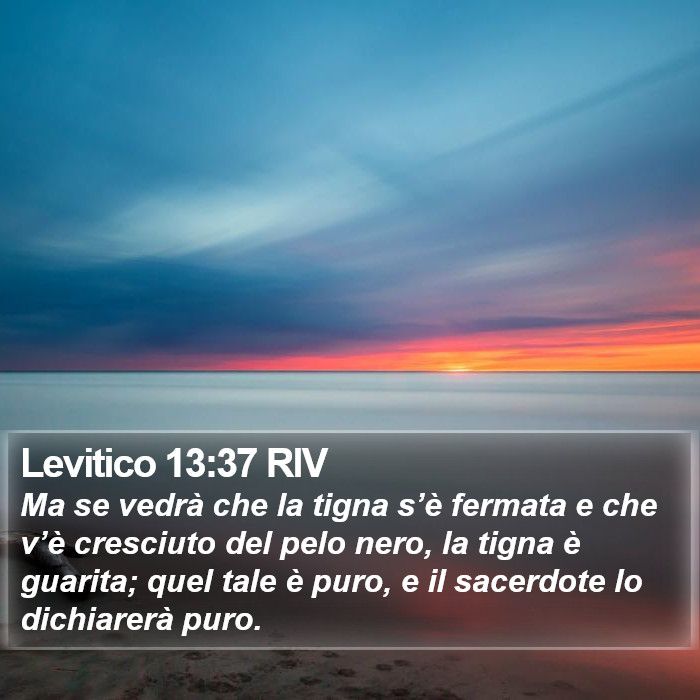 Levitico 13:37 RIV Bible Study