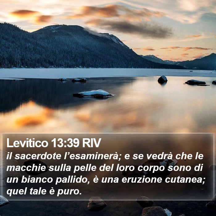 Levitico 13:39 RIV Bible Study