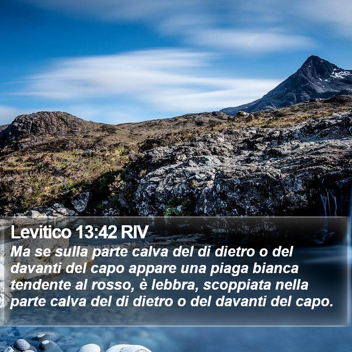 Levitico 13:42 RIV Bible Study