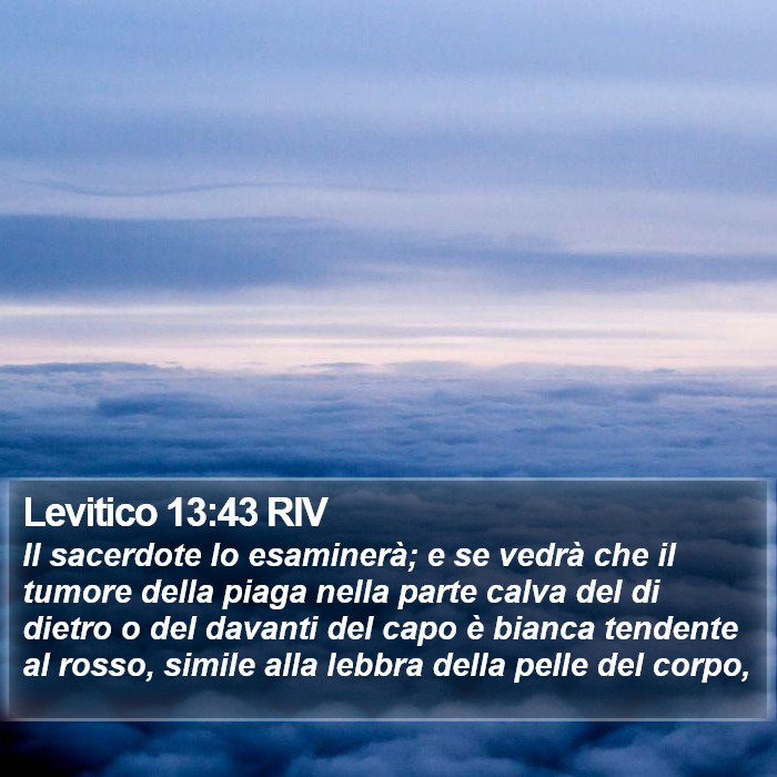 Levitico 13:43 RIV Bible Study