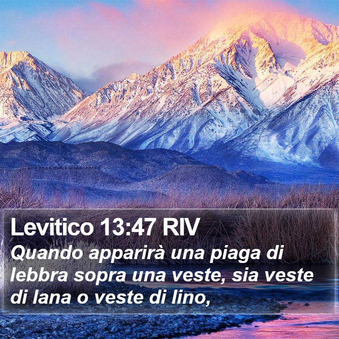 Levitico 13:47 RIV Bible Study