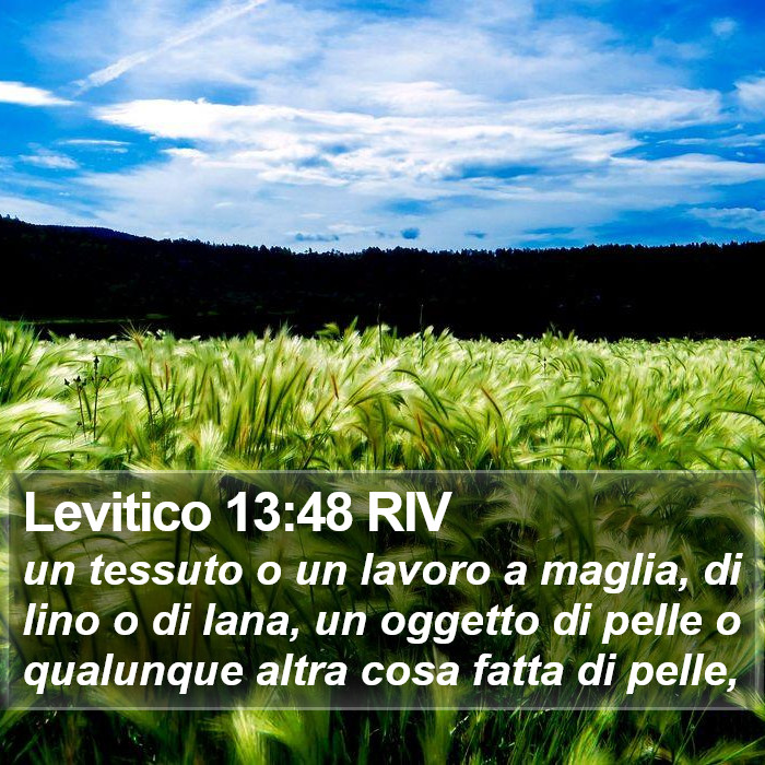 Levitico 13:48 RIV Bible Study