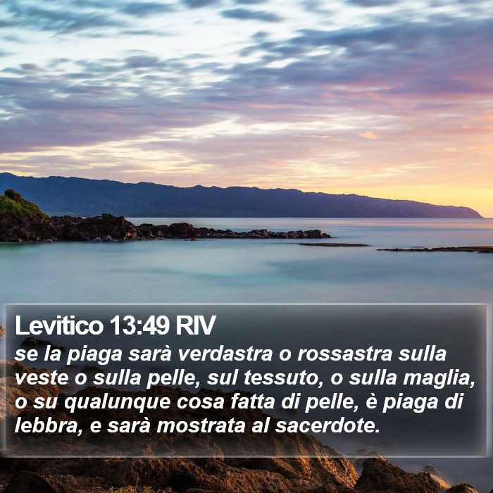 Levitico 13:49 RIV Bible Study