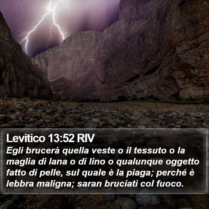 Levitico 13:52 RIV Bible Study