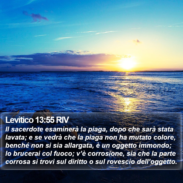 Levitico 13:55 RIV Bible Study