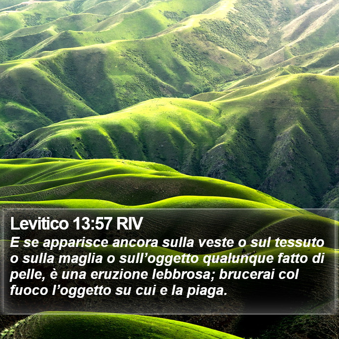 Levitico 13:57 RIV Bible Study