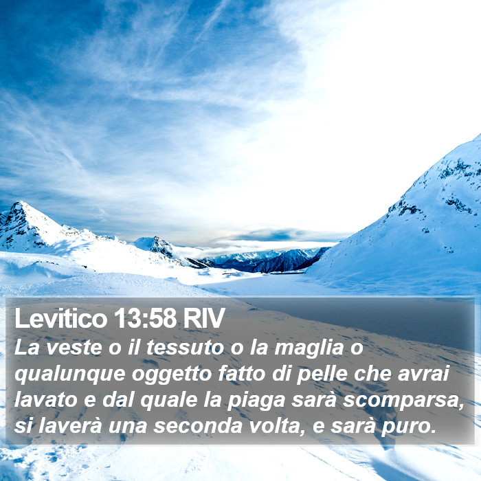 Levitico 13:58 RIV Bible Study