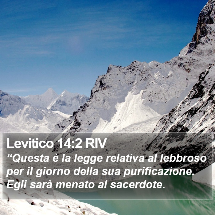 Levitico 14:2 RIV Bible Study