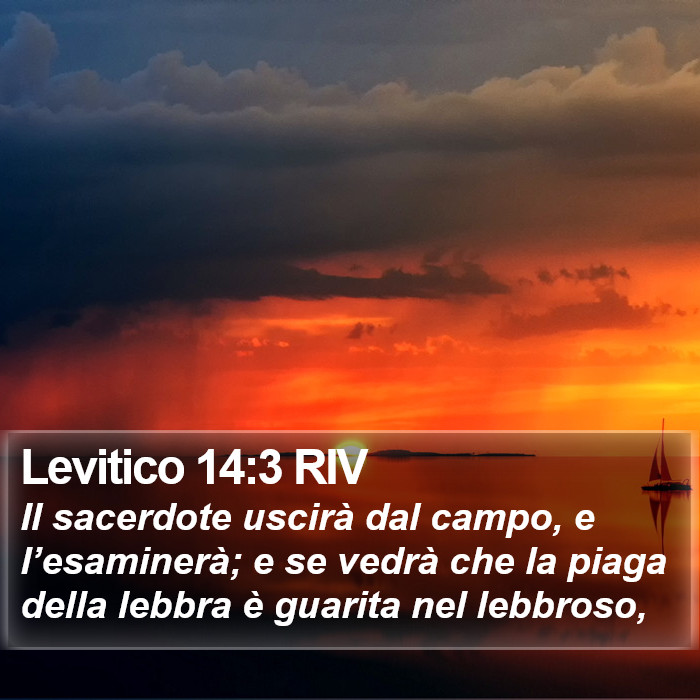 Levitico 14:3 RIV Bible Study