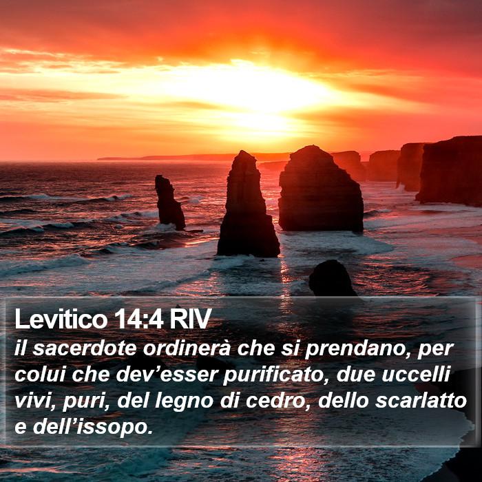 Levitico 14:4 RIV Bible Study