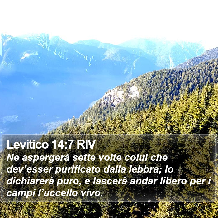 Levitico 14:7 RIV Bible Study