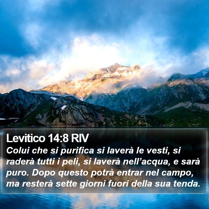 Levitico 14:8 RIV Bible Study