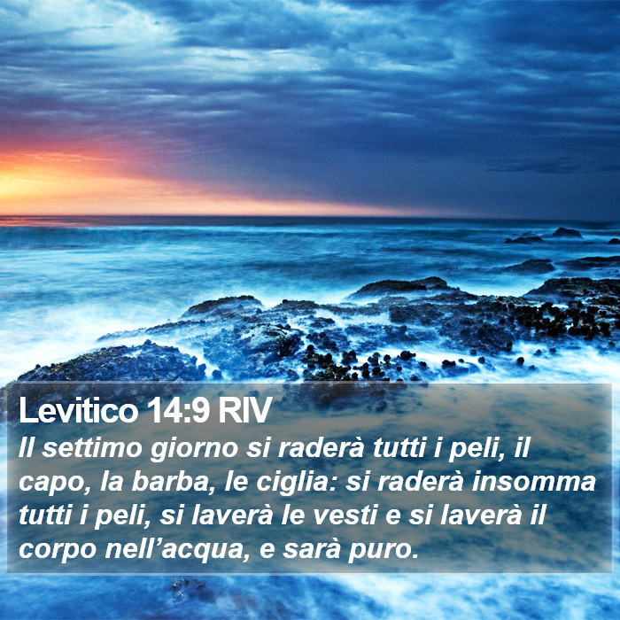 Levitico 14:9 RIV Bible Study