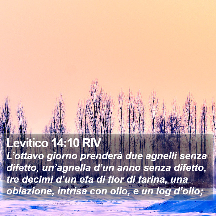 Levitico 14:10 RIV Bible Study