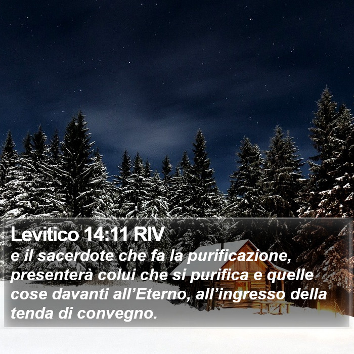 Levitico 14:11 RIV Bible Study