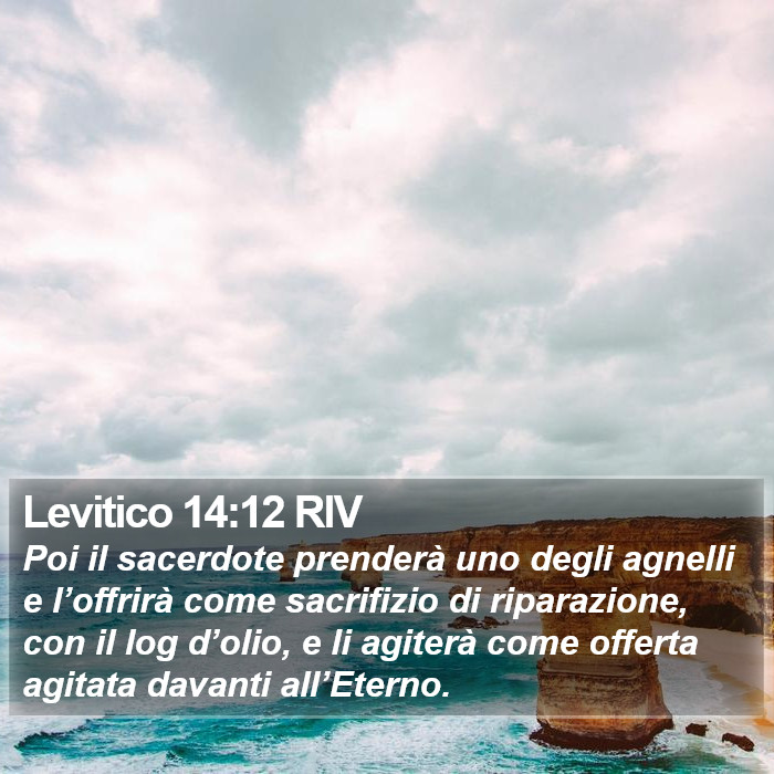 Levitico 14:12 RIV Bible Study