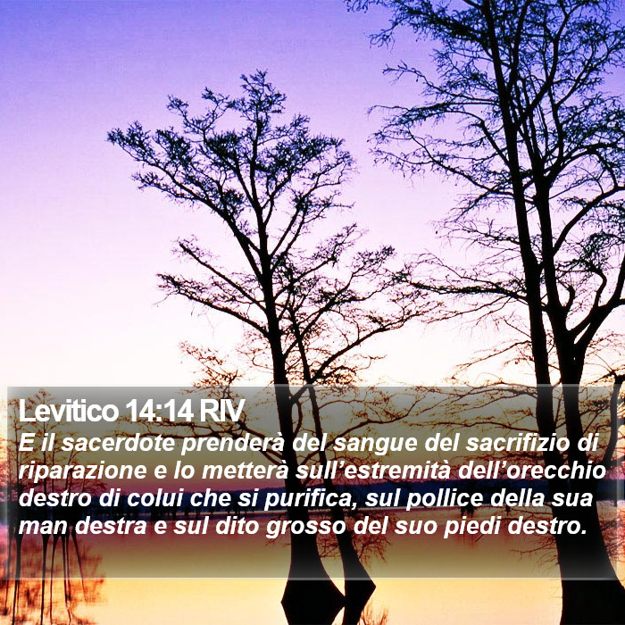 Levitico 14:14 RIV Bible Study