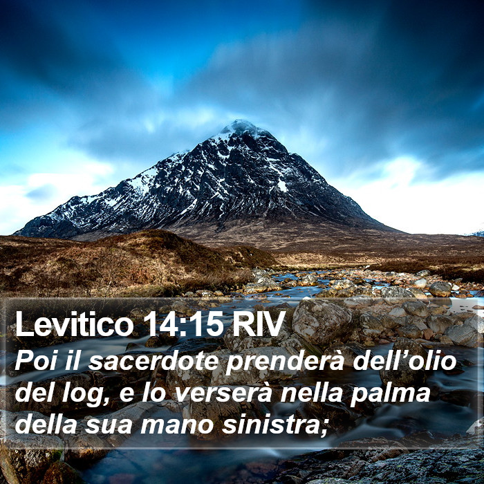 Levitico 14:15 RIV Bible Study