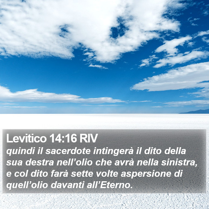 Levitico 14:16 RIV Bible Study