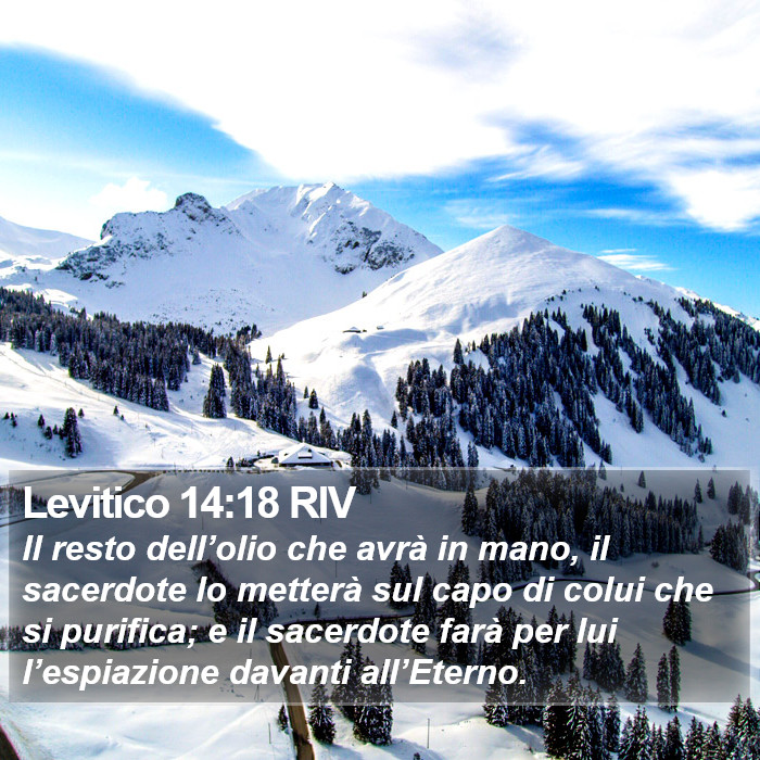 Levitico 14:18 RIV Bible Study