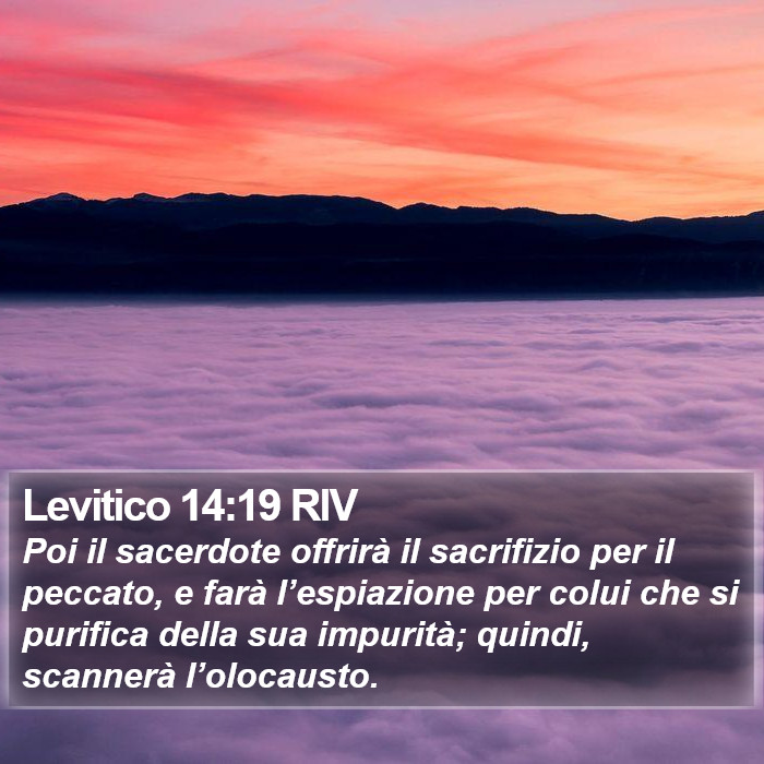 Levitico 14:19 RIV Bible Study