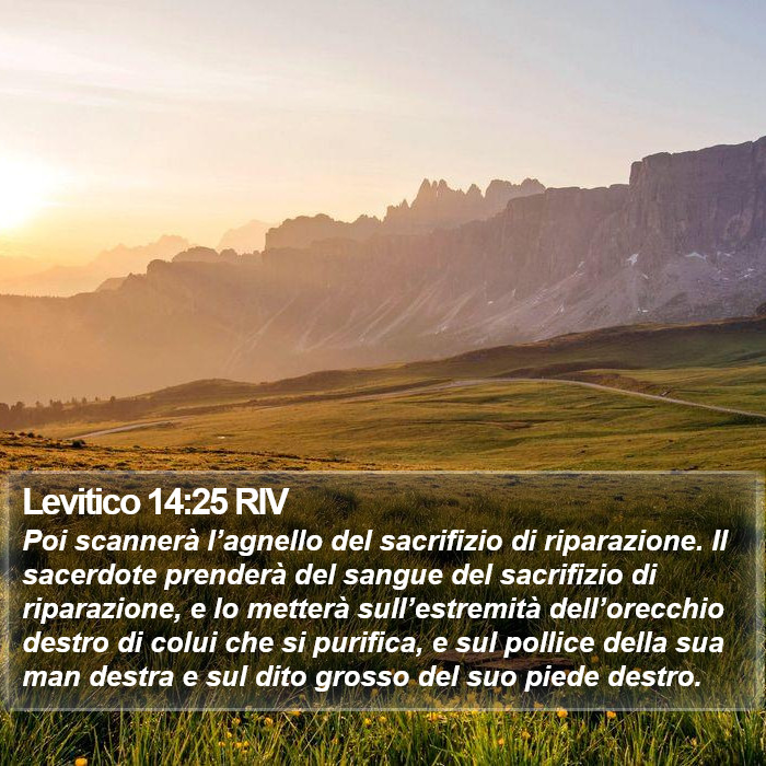 Levitico 14:25 RIV Bible Study