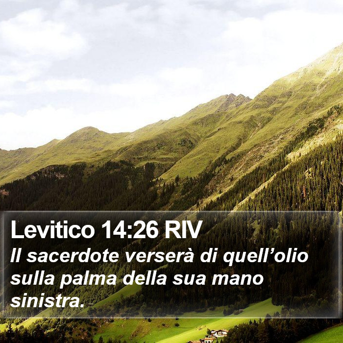 Levitico 14:26 RIV Bible Study