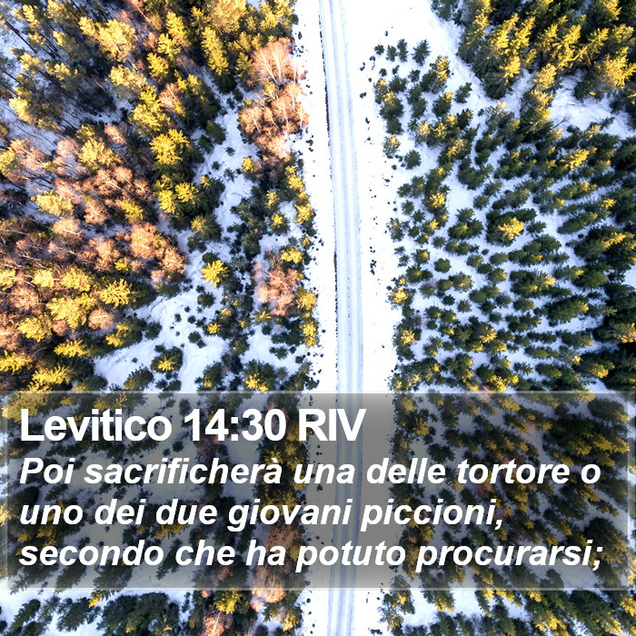 Levitico 14:30 RIV Bible Study