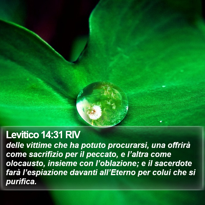 Levitico 14:31 RIV Bible Study