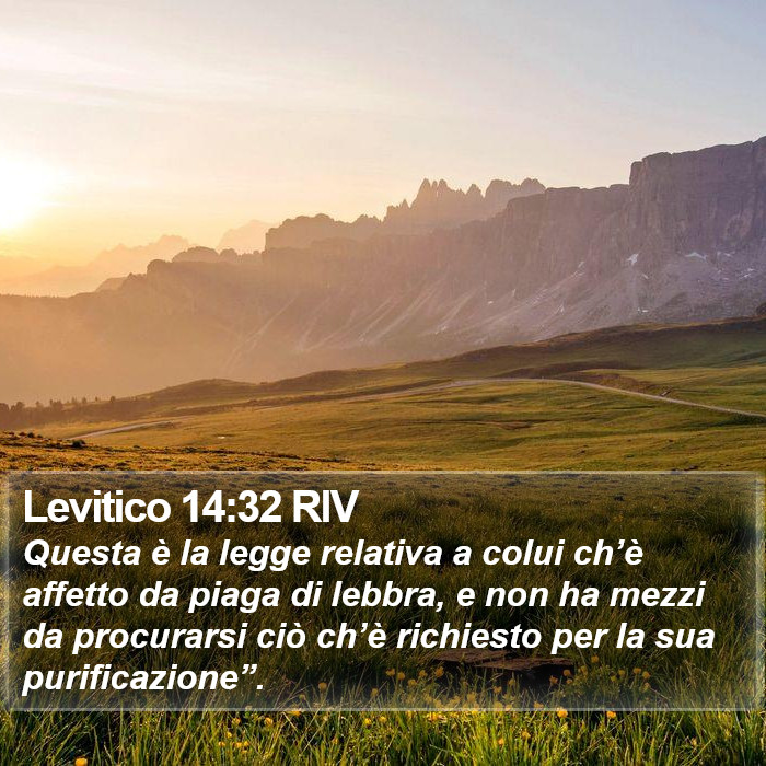 Levitico 14:32 RIV Bible Study