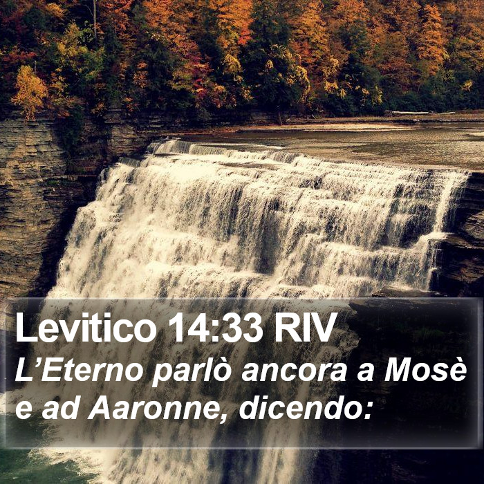 Levitico 14:33 RIV Bible Study