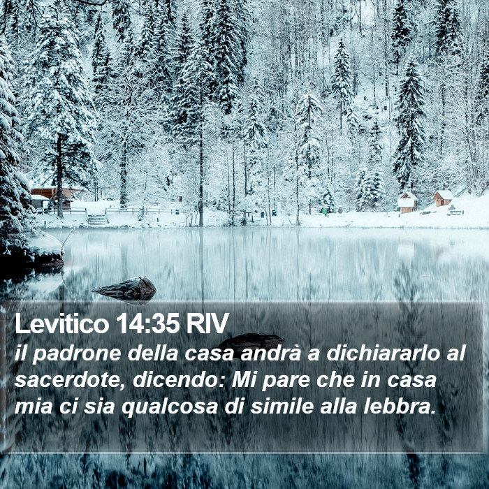 Levitico 14:35 RIV Bible Study