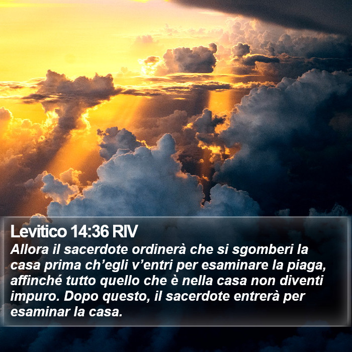 Levitico 14:36 RIV Bible Study