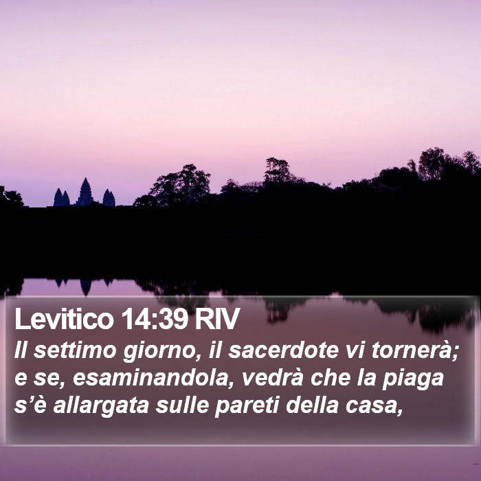 Levitico 14:39 RIV Bible Study