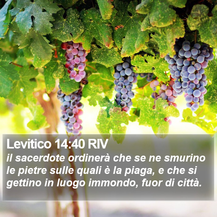 Levitico 14:40 RIV Bible Study