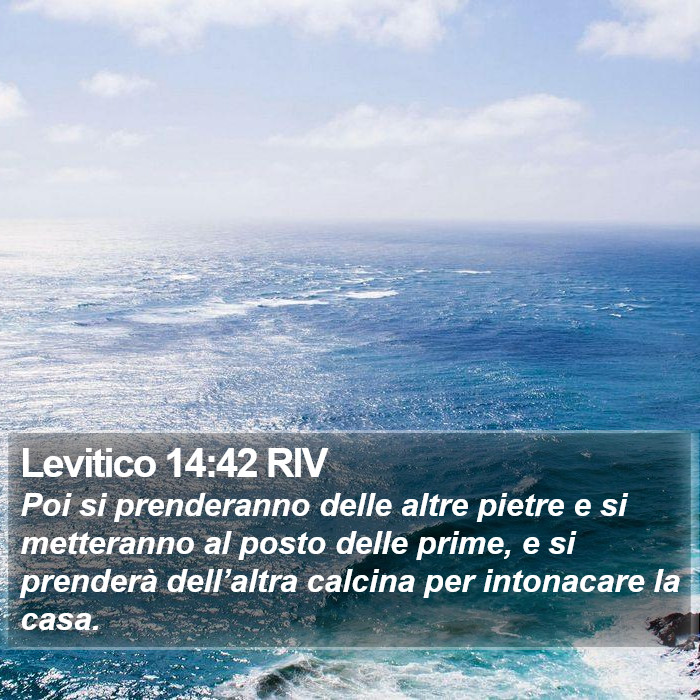 Levitico 14:42 RIV Bible Study