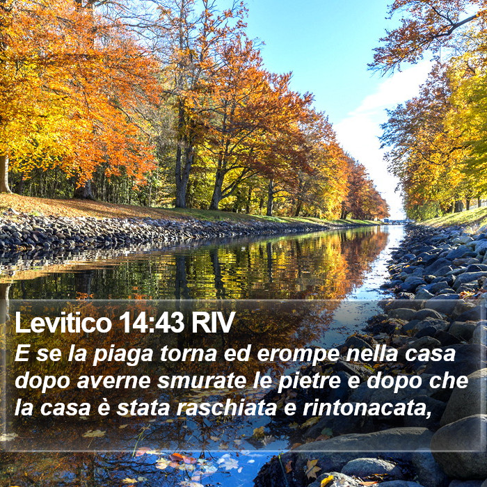 Levitico 14:43 RIV Bible Study